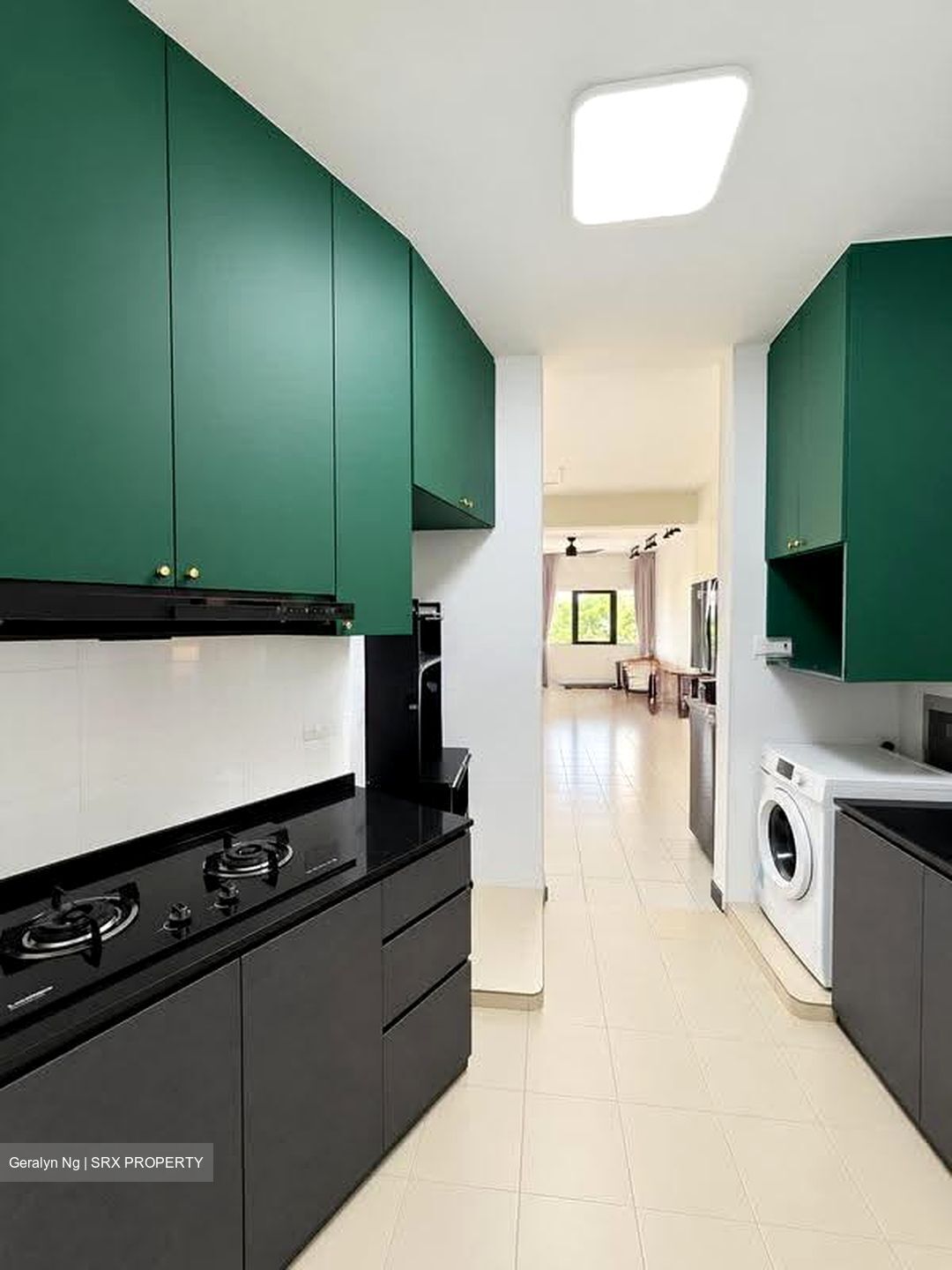 Bayshore Park (D16), Condominium #615986251